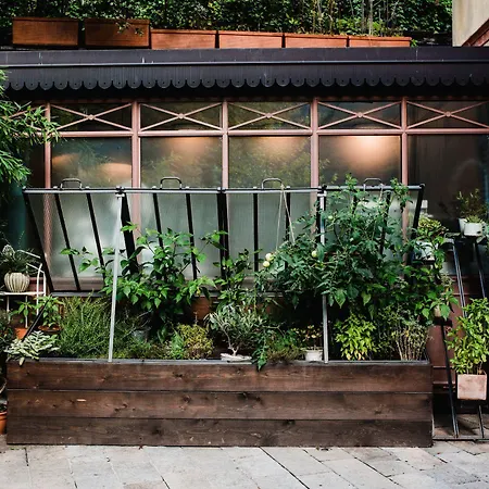 Regina Teodolinda 4*